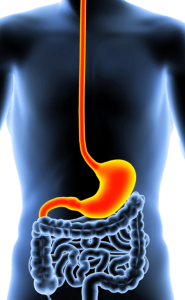 Gastroskopi